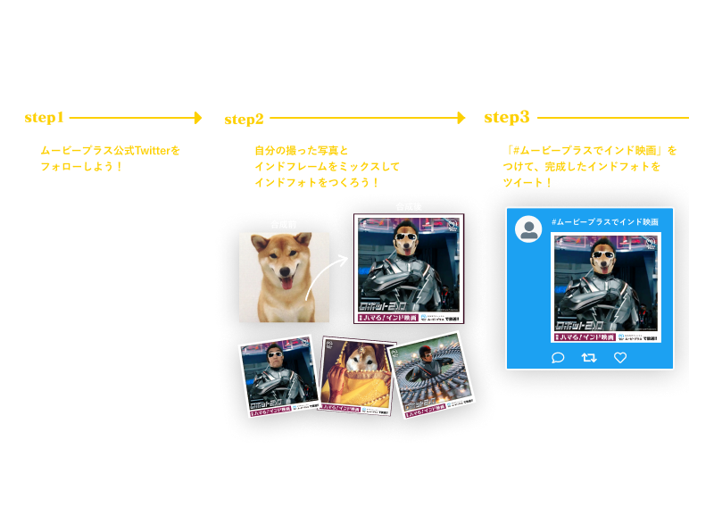 特集ハマる インド映画 インドフォトジェネレーター 映画専門チャンネル ムービープラス