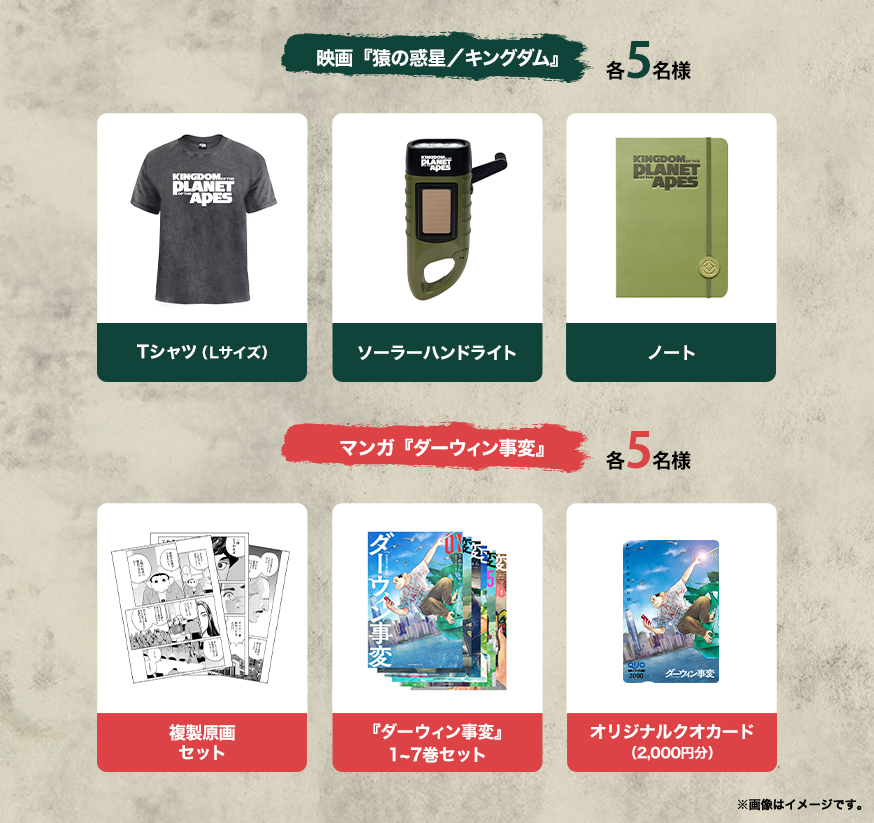 プレゼント内容