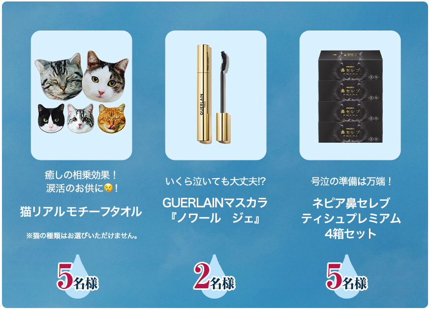 プレゼント内容